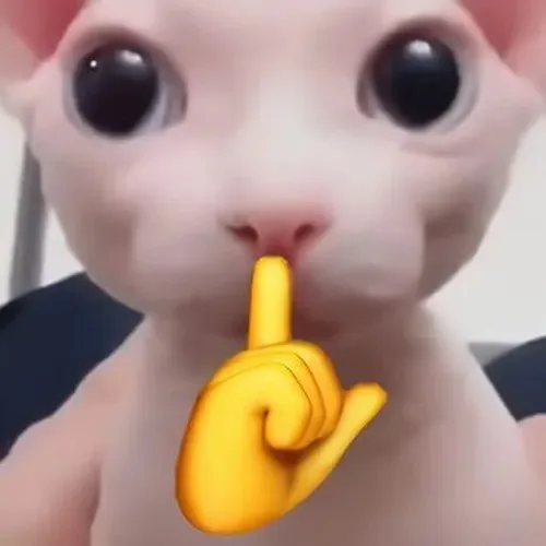 meme suỵt
