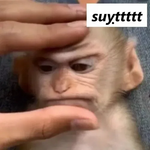 meme suỵt