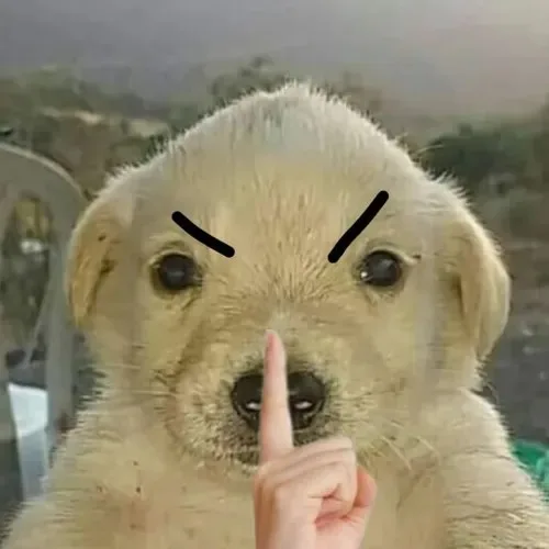 meme suỵt