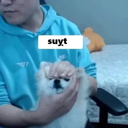 meme suỵt