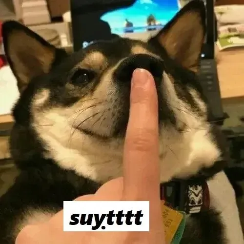 meme suỵt