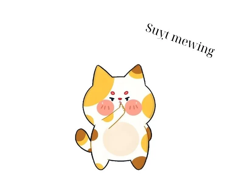 meme suỵt