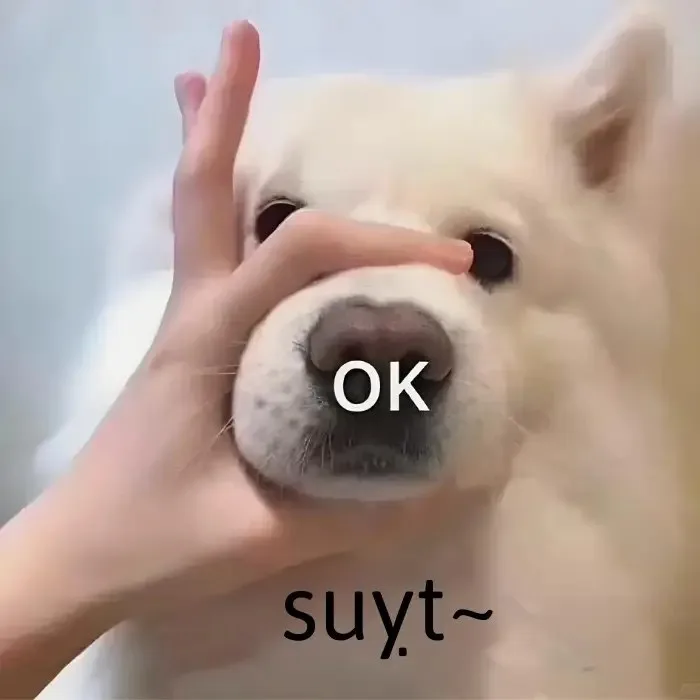 meme suỵt