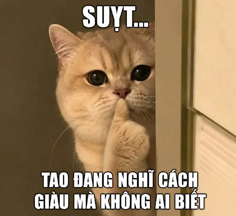 meme suỵt