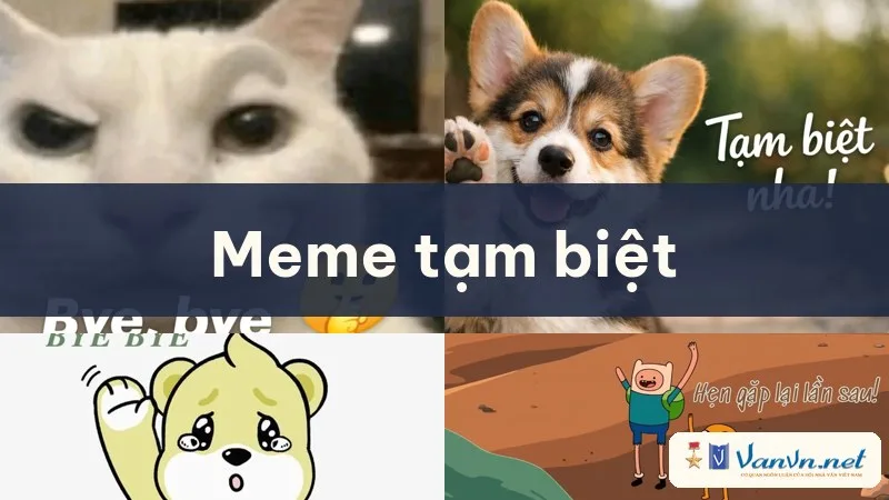 meme tạm biệt