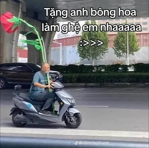 meme tặng hoa