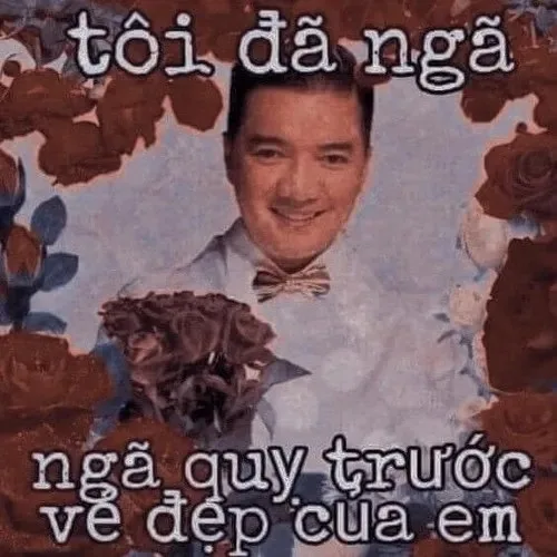 meme tặng hoa
