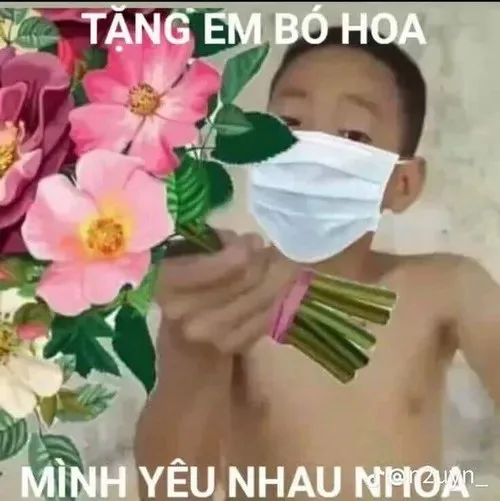 meme tặng hoa