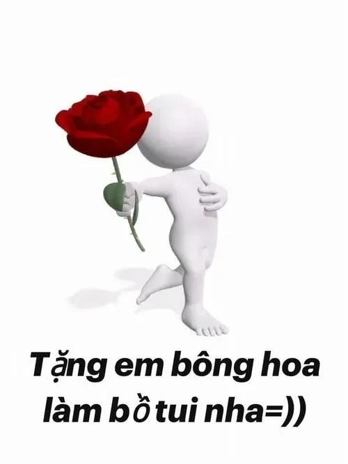 meme tặng hoa