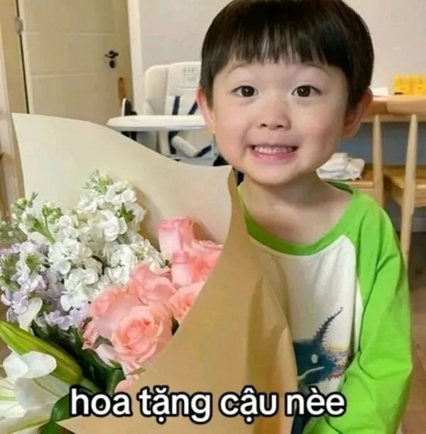meme tặng hoa