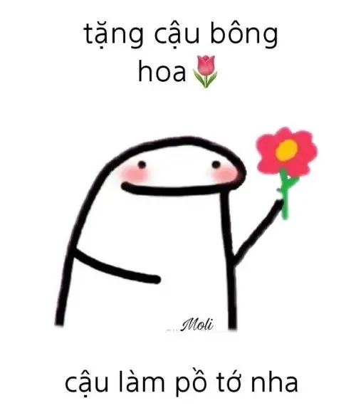 cute meme tặng hoa