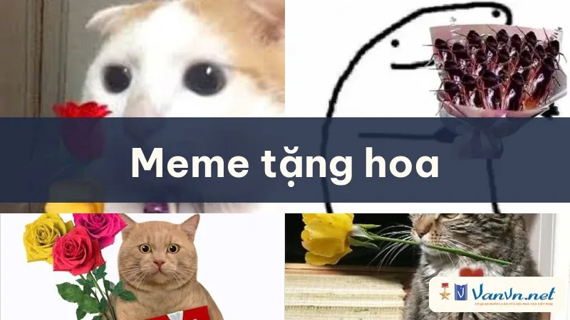 meme tặng hoa