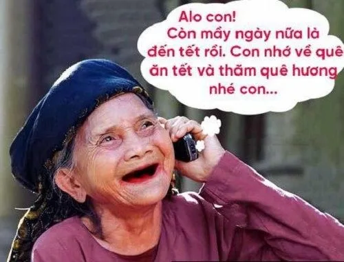 ảnh meme tết