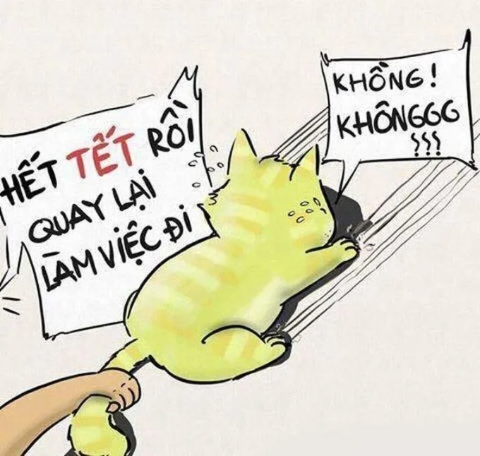 meme mèo tết