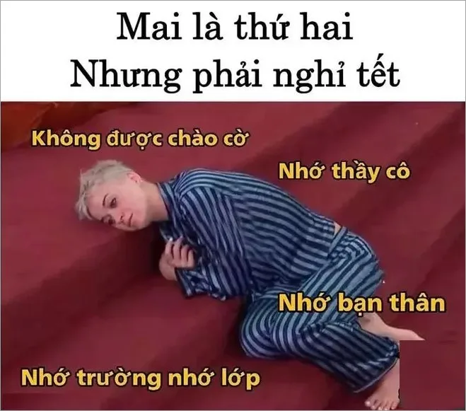 meme hết tết