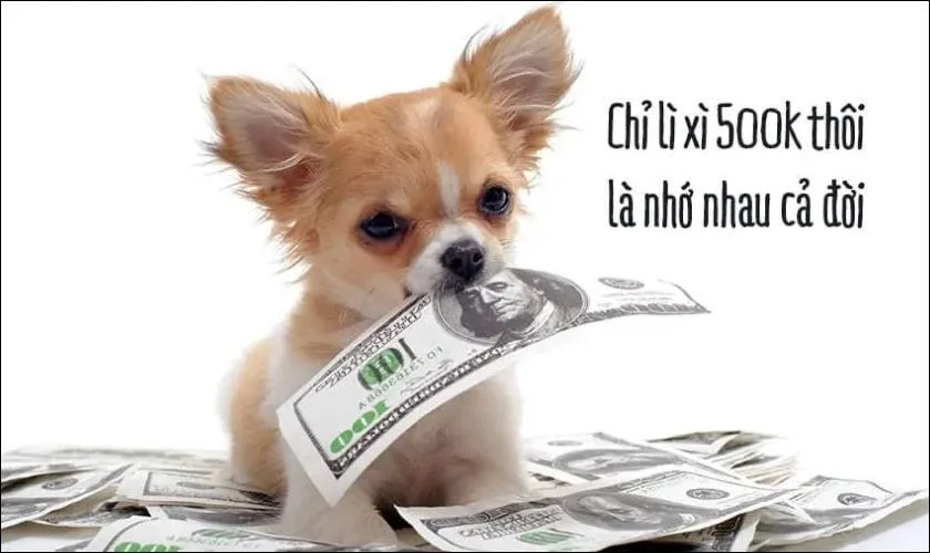meme lì xì tết
