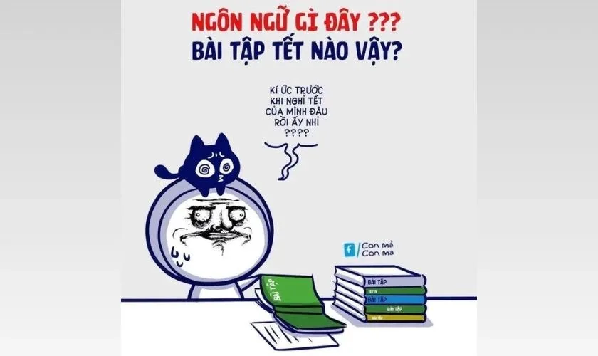 meme hết tết
