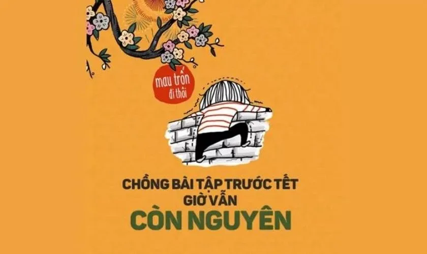 meme hết tết