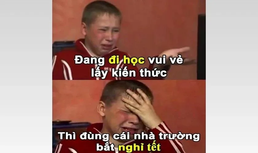 meme hết tết