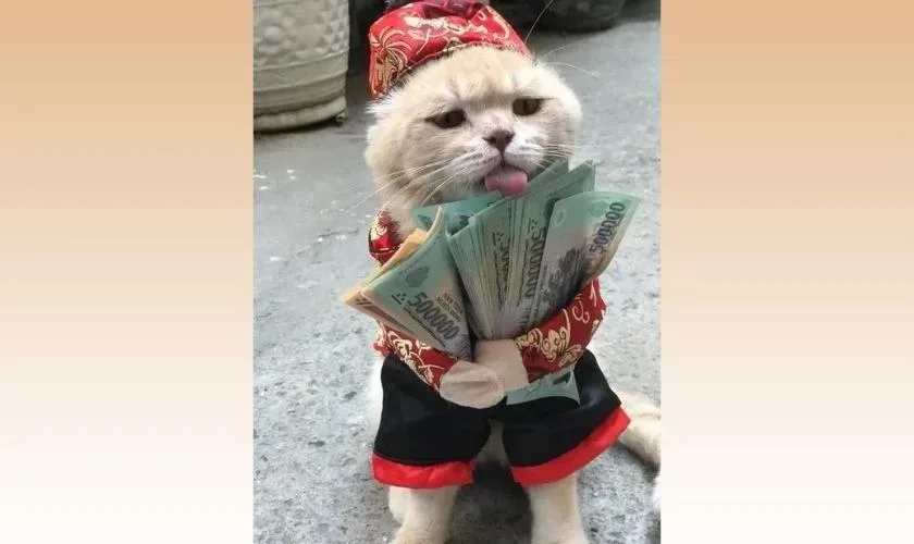 avatar tết meme