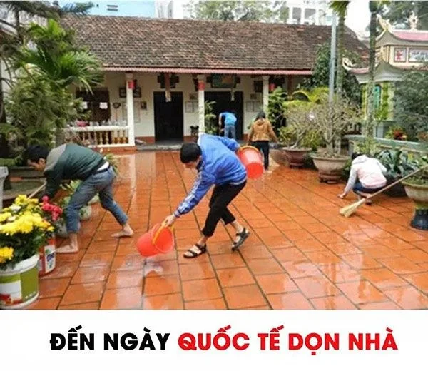 meme ngày tết
