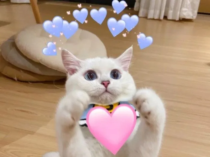 meme bắn tim