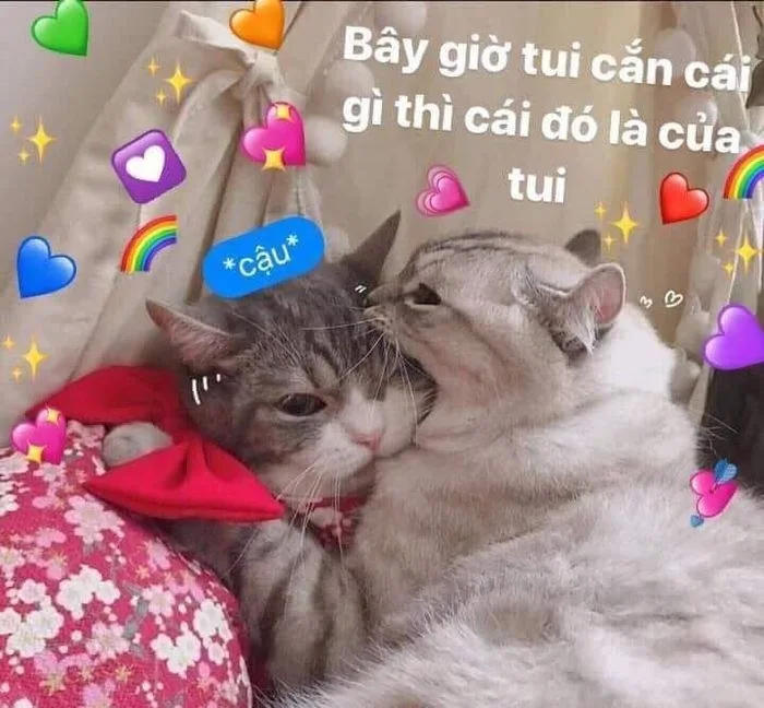 meme trái tim