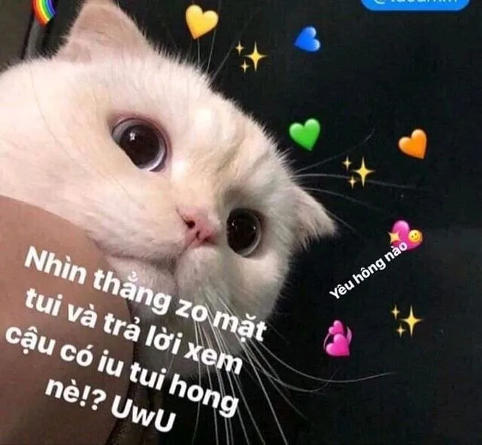 meme trái tim