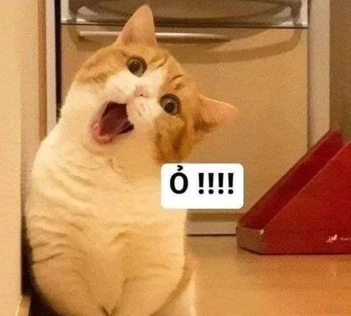 meme thả tim bựa