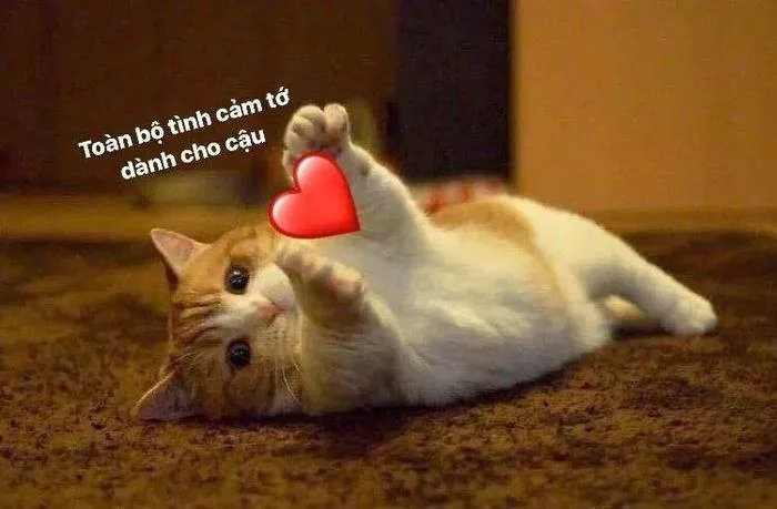 meme bắn tim
