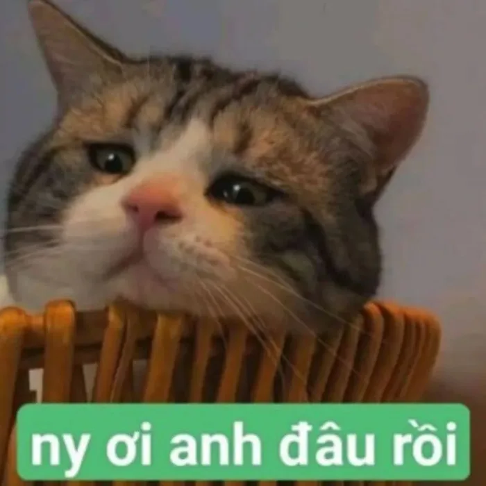 meme thả tim bựa