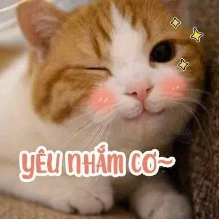 meme thả tim