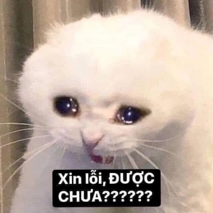 meme thả tim bựa