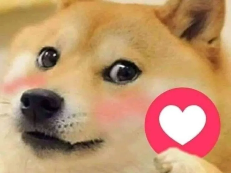 meme thả tim