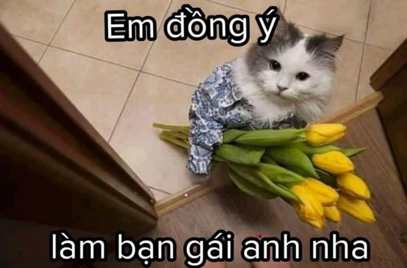 meme thả tim