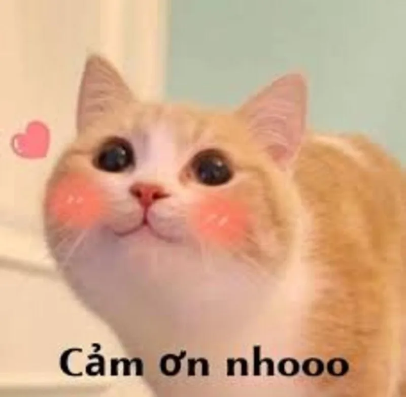 meme thả tim