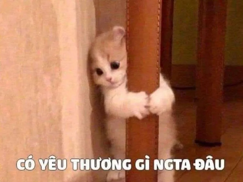 meme thả tim bựa