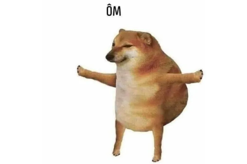 meme thả tim bựa