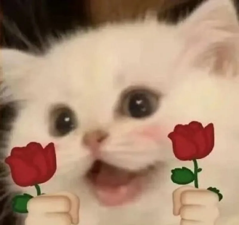 meme bắn tim