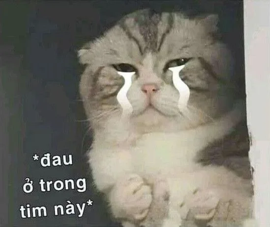 meme thả tim bựa