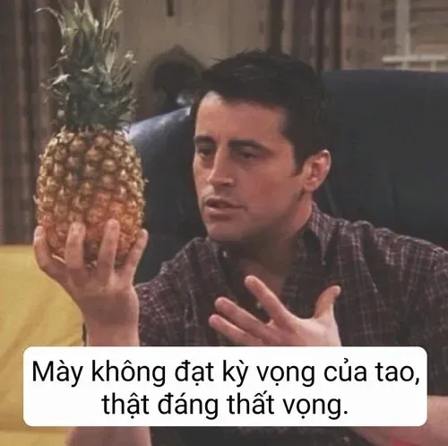 meme thất vọng