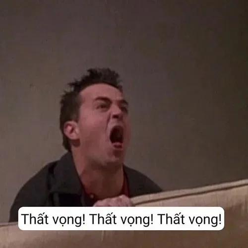 meme thất vọng