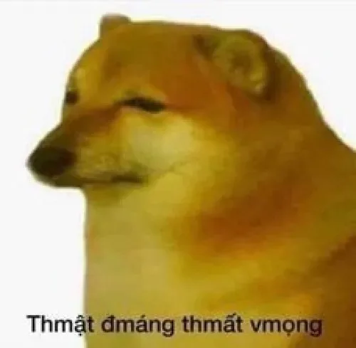meme thất vọng