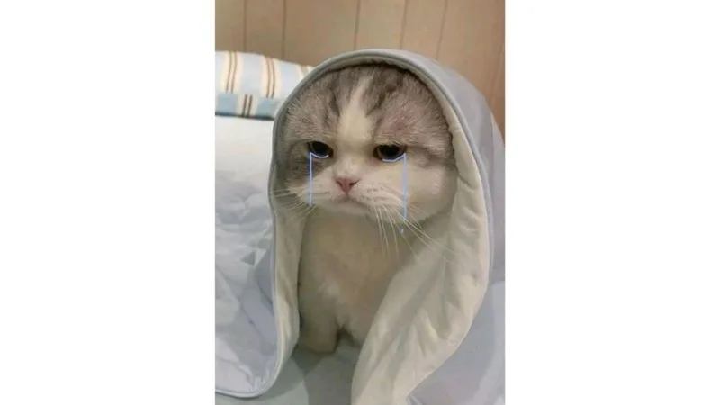 meme tuyệt vọng
