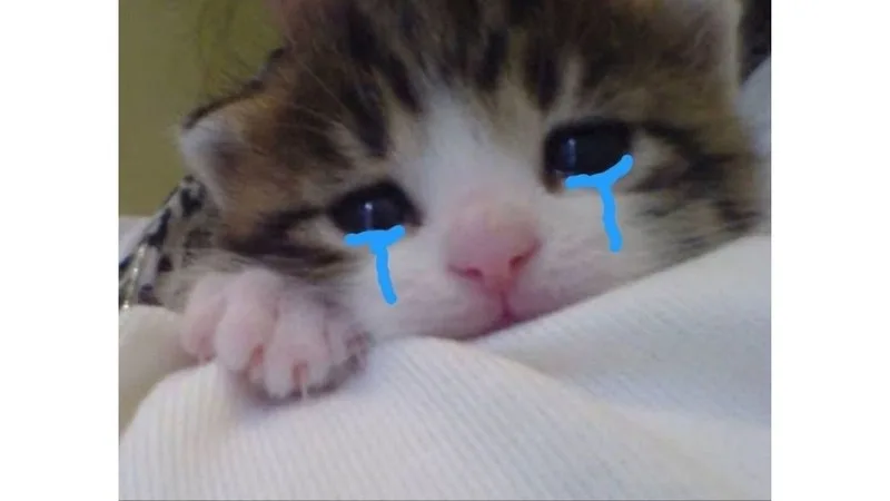 meme tuyệt vọng
