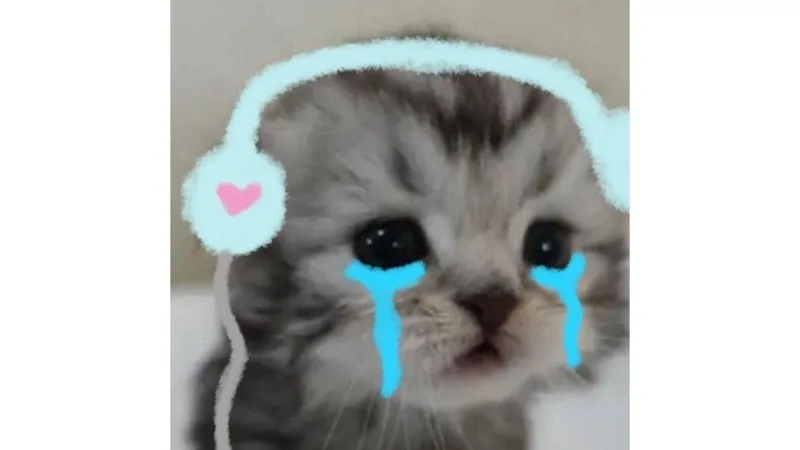 meme tuyệt vọng
