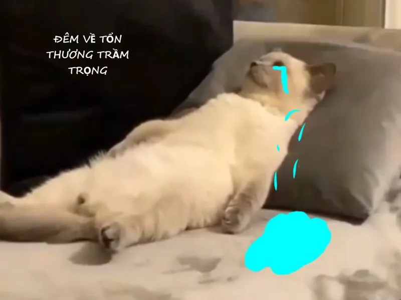 meme tuyệt vọng