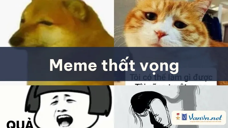 meme thất vọng