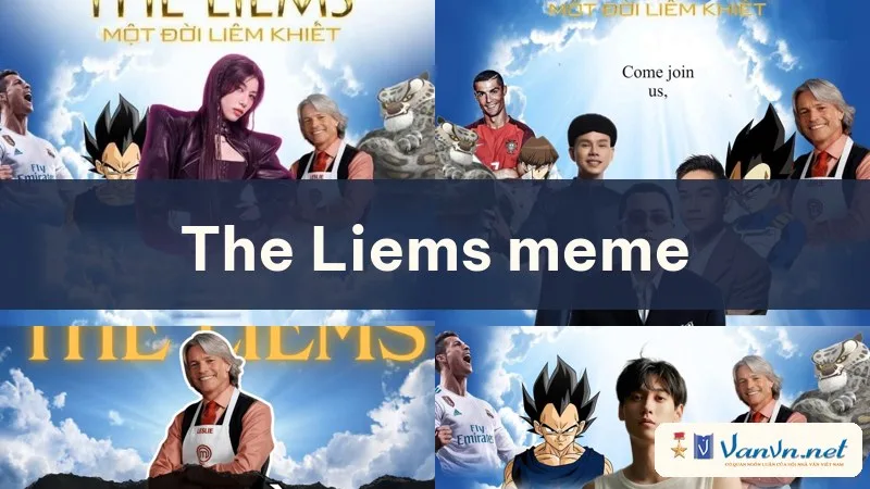 the liems meme