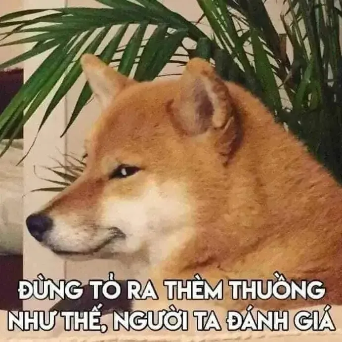 meme thèm thuồng